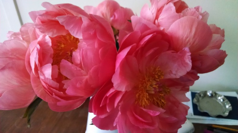 IMG_20140520_090843123