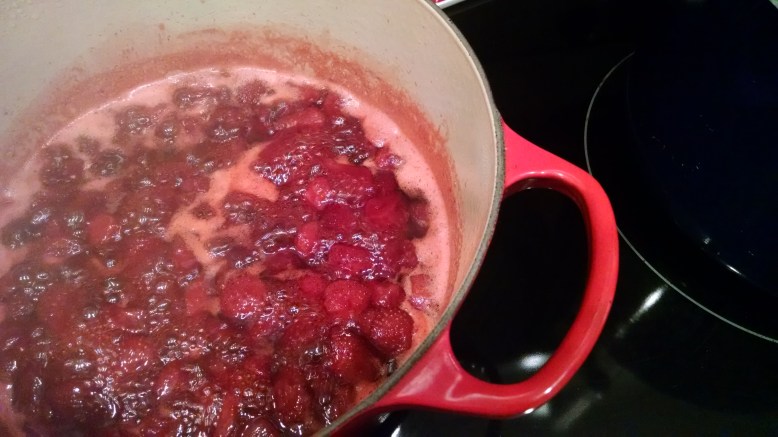 IMG_20150702_201751846