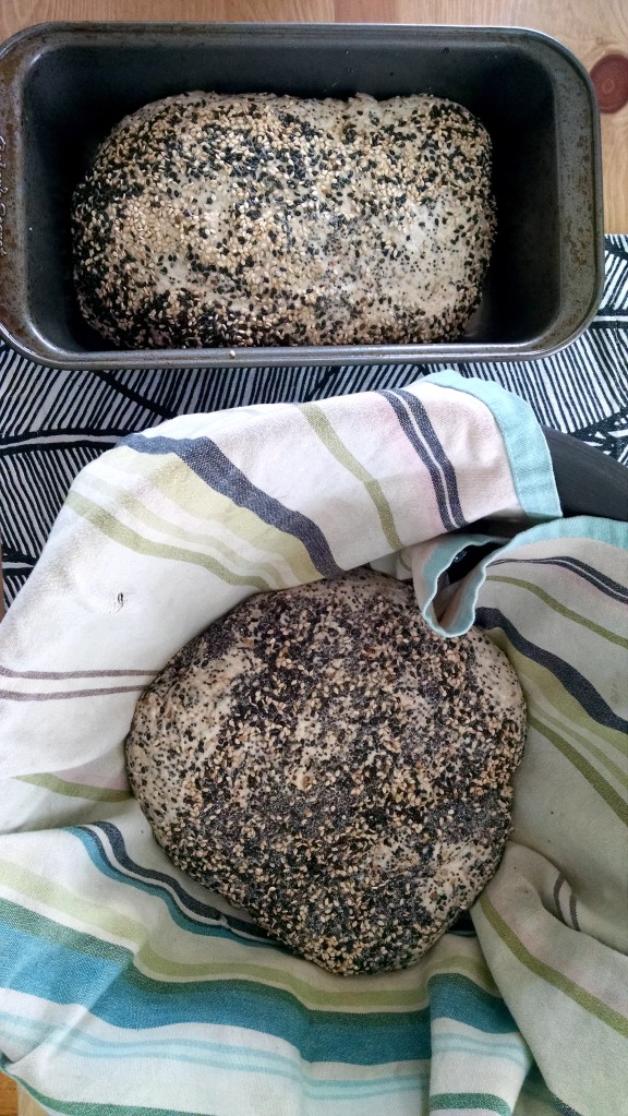 IMG_20150904_172756193